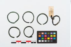Foto von Bronzering (NHMW-PRAE-024644)